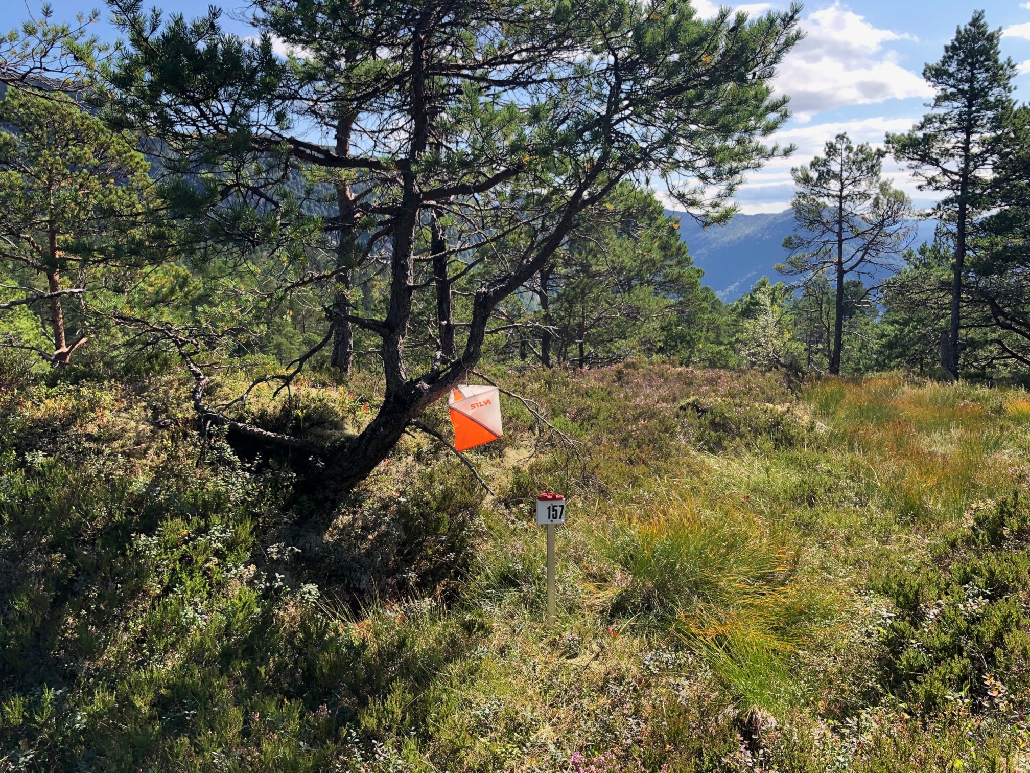 Aktiv veke med trening, nærløp og KM-helg